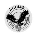 Águias Handebol Campinas